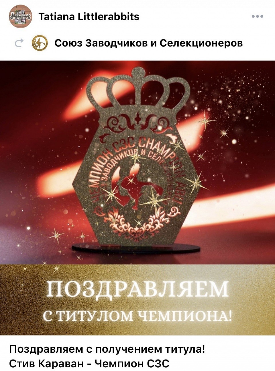Титул