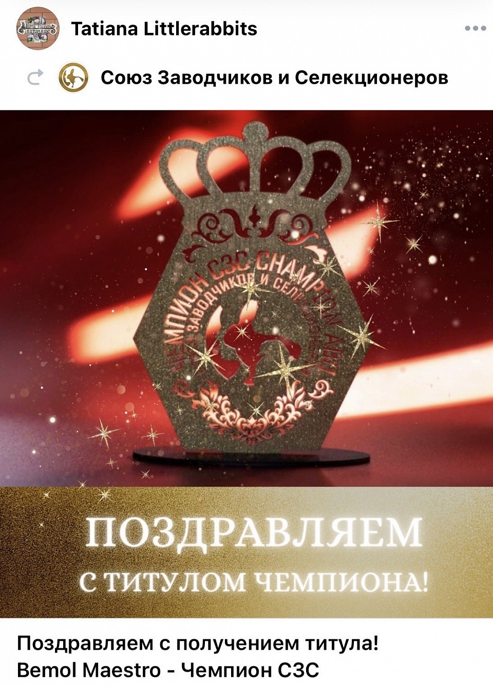 Титул