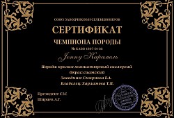 Чемпион