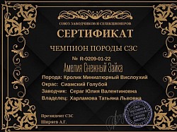 Чемпион
